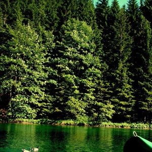 Meet your Posher, Caden